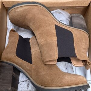 Crevo Men's Brown Suede Chelsea Boots